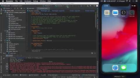 Flutter for the Impatient - 7 - Display Google Maps