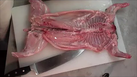 Qual o tamanho de um coelho normal?