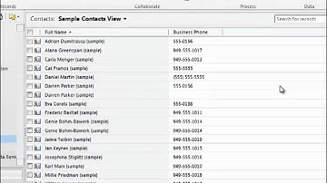 Merge Records - Microsoft Dynamics CRM 2011 - Success Portal at xRM.com