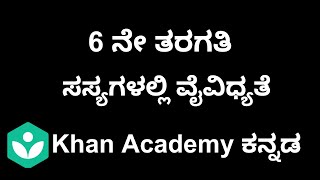 Diversity in Plants [Kannada] | Class 6 | Science | Khan academy