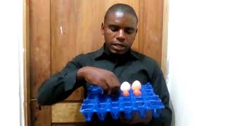 HAYA NDIO MAYAI YA JOGOO????