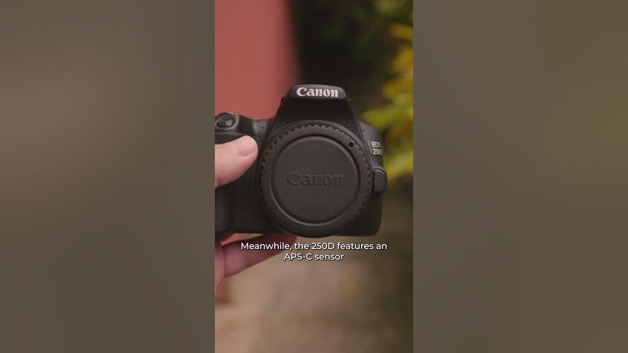 What Sensors Do They Have? Canon 6D or 250D (Rebel SL3) YouTube