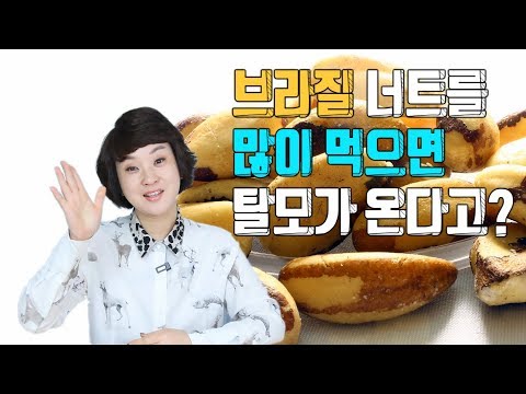 #4 브라질 너트를 많이 먹으면 탈모가 온다고? [따지는 TV]