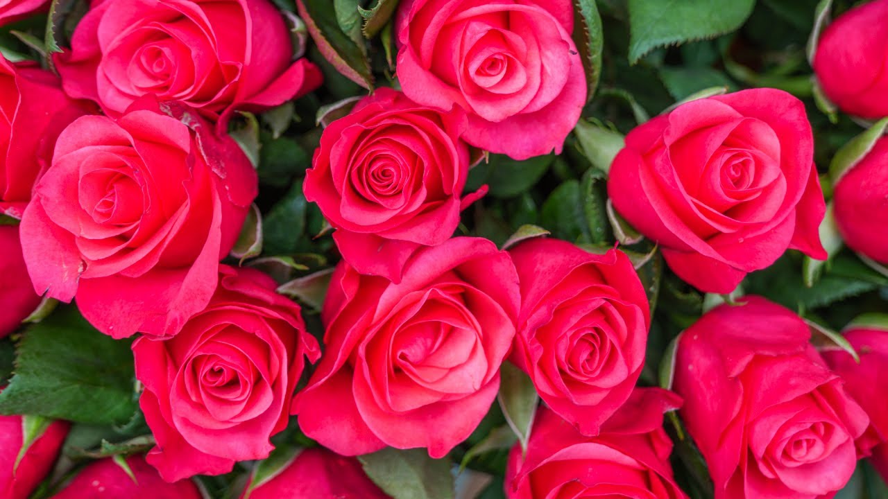 Музыка расслабляет нервную систему, улучшает память 🌿 Сергей Грищук музыка #179