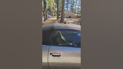 2000 camaro SS 2 skar 12s and hifonics Zeus amp