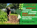 Le poireau 🌴 de A à Z, une culture simple: semis, repiquages, entretiens et graines.