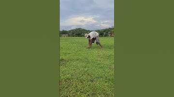 Smart technique of village farmers cutting grass with super sharp tools in the field #shorts