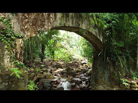 Video: Botanical Garden (Penang Botanic Gardens) description and photos - Malaysia: Penang Island