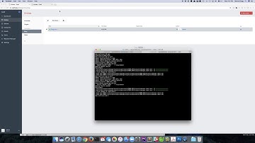 CraftCMS Migration Tool - Content Migration Demo