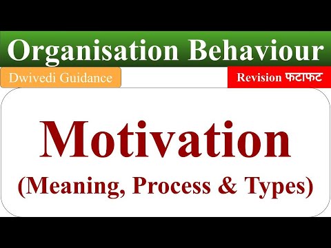 motivation meaning, types of motivation, process of motivation, organisational behaviour, motivation