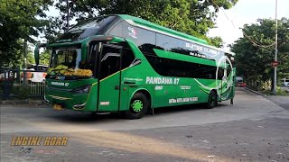 Bus Spotting Traffic sound  Arrival passenger at the busiest terminal in Southeast Asia