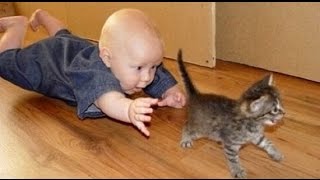 Cats and Babies | Funny cats and babies | Love cats and babies, cute cats and babies