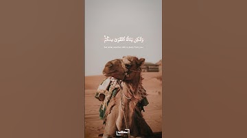 لن ينال الله لحومها | سورة الحج | الحصري #quran