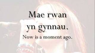 Video thumbnail of "Rwan - Meinir Gwilym (geiriau / lyrics)"