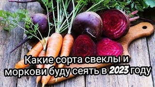 Какие сорта свеклы и моркови буду сеять в 2023 году