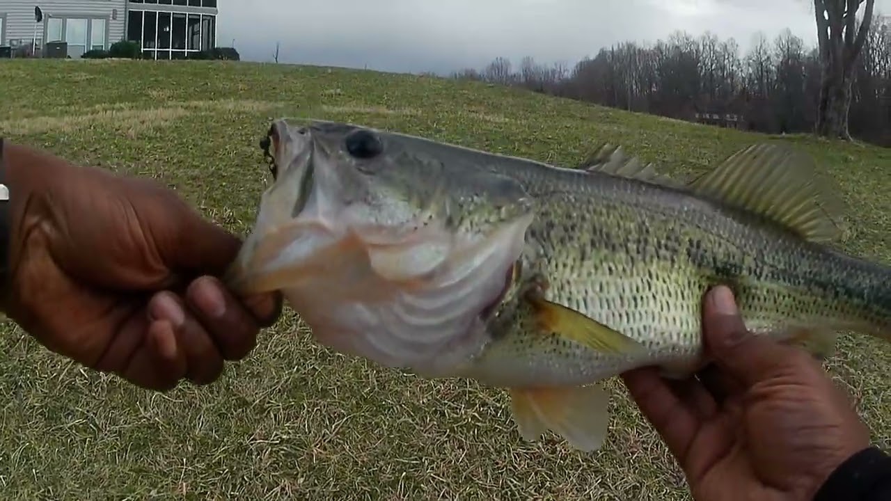Game Warden Profiling Black Fisherman(2 Pound Bass Caught On Swimbait)