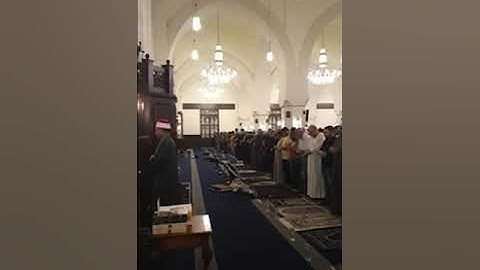 عندما يجتمع جمال القرآن وروعة التلاوة في قصة نوح عليه السلام صلاة التراويح من المسجد الجامع بمدينتي
