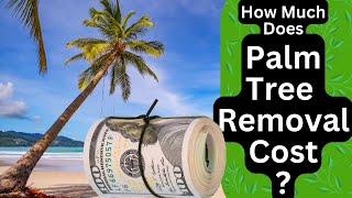 🌴How Much Does Palm Tree Removal Cost? CALL 480-200-3331 for FREE QUOTE! Scottsdale Az & Gilbert Az