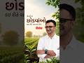 જ્યારે વિજ્ઞાન અને પ્રકૃતિ સાથેનો સંવાદ અનોખી વાતો ખોલે છે.