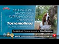 Exhibición de Adiestramiento a cargo de la GUARDIA REAL - Torremolinos 2022