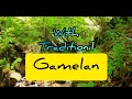 Javanese gamelan music of indonesia 2 hours