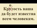 КРУТОСТЬ ИЛИ КРОТОСТЬ ⁉️ - стихи христианские.