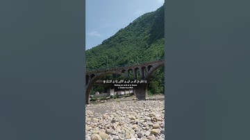 تلاوة خاشعة لآيات من كتاب الله #القرآن_الكريم #الله #اكسبلور #foryou #راحة_نفسية #fyp