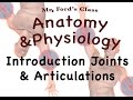 Understanding Joints and Cartilage