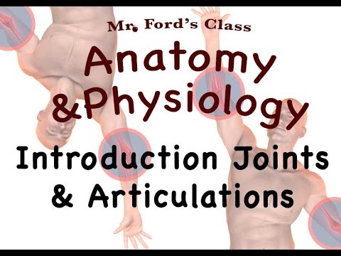 joints and articulations introduction to joints and articulations