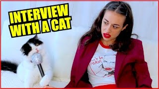 MIRANDA INTERVIEWS A CAT