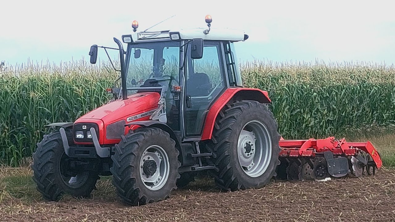 Talerzowanie 2025 Uprawa ścierniska Massey Ferguson 4235 & Grano System Shark 3.0