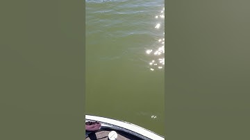 Humminbird interference fix - sometimes.