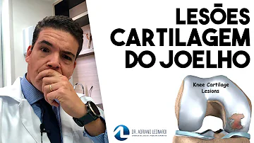 Como evitar perda de cartilagem?