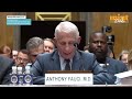 US Senate LIVE: ‘Who The F**k Do You Think…’, Hearing Takes An Ugly Turn As Fauci Refuses To Answer