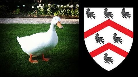 Worcester College Promotional Video