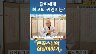 닭띠에게 최고의 귀인띠는!? #shorts