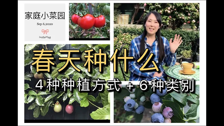 【菜园子8】种菜--春天种什么菜好？春季种植的4种种植法和6大蔬果类别 - 天天要闻