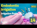 Endodontic irrigation Irrigation Protocol المحاضرة 14 في علاج العصب mp3