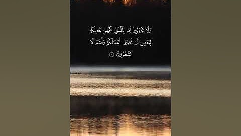 القارئ ابراهيم الزيات - الحجرات | مقاطع قرآن قصيرة وحالات واتس إسلامية 🌱