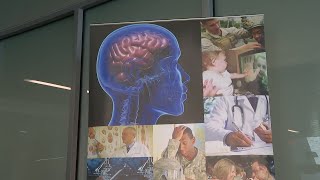 Brain Injury Awareness Month open house held at Camp Lejeune