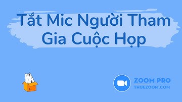 Cách chuyển đổi ngôn ngữ trong Zoom và tắt mic người tham gia cuộc họp.