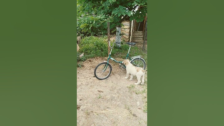 #пастух#алабай#играет с несушками