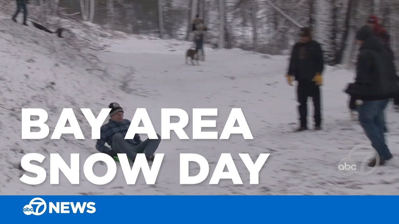 Bay Area Snow Play