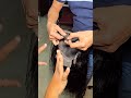 Hairloss solution✅️ | Wigs at chennai - WDI hair studio #wigs #hairpatch #shorts #youtubeshorts