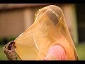 Kriti + Chandraveer Singh I Cinematic Rajput wedding Teaser I Jodhpur ( 2017 )