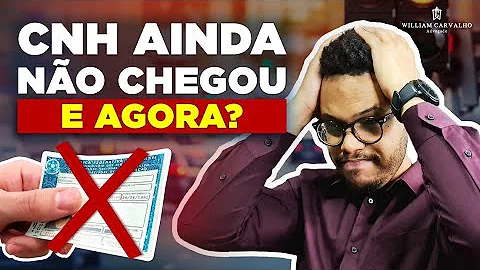 O que fazer quando a carteira de habilitação não chega?