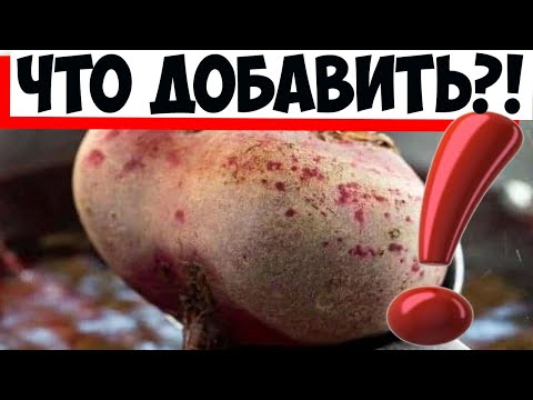 Надо ли солить свеклу при варке: это должны знать все хозяйки!