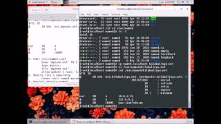 CSC 4201 NSA Lab 3 DNS