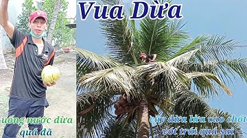 Vua Dừa Miền Tây//vua dừa leo cây dừa lửa cao chót vót tuông hết dừa nạo dừa khô ,uống dừa quá đã