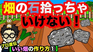 【いい畑の作り方】プロが教える！畑の小石を拾わない方法でいい土にする方法！【アニメでわかる家庭菜園お役立ち情報】
